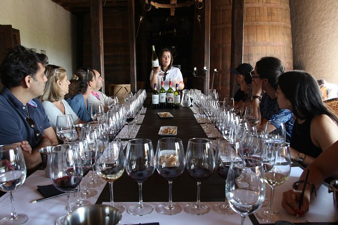 Viu Manent and Montes Winery, Colchagua Valley from semi-private - The guides can shape the whole day