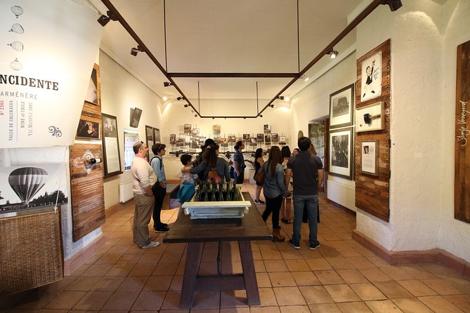 Viu Manent and Montes Winery, Colchagua Valley from semi-private - Starting at 7:30 am from Santiago
