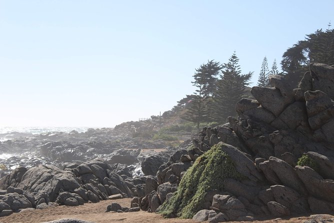 wetravelneruda’s route - Pablo Neruda’s route - Private tour - Why this route works for Neruda fans