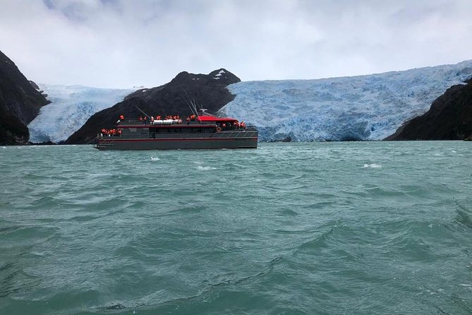 Whale and Glacier Watching from Punta Arenas Francisco Coloane Park - Sailing the Strait of Magellan