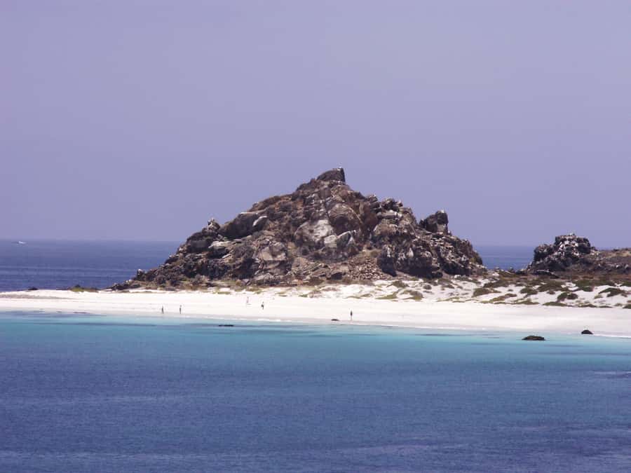 Whales & Humboldt Penguins: Chañaral or Damas island hiking - Caleta Los Hornos and La Higuera
