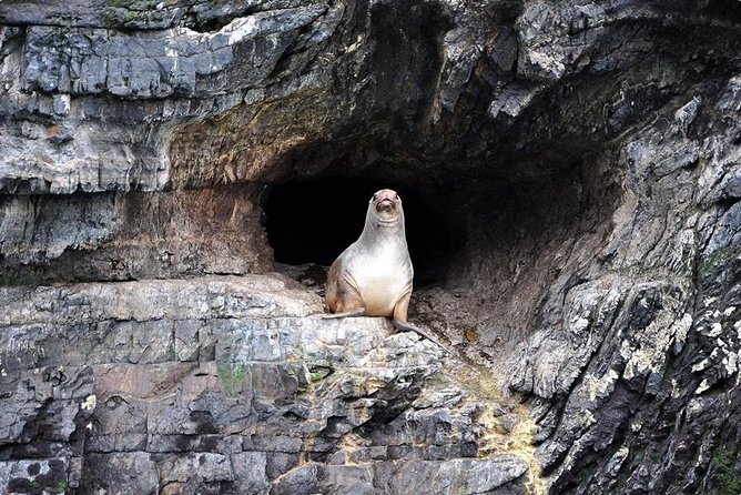 Whales, Penguins & Glaciers Navigation From Punta Arenas - The catamaran, food, and a long day at sea