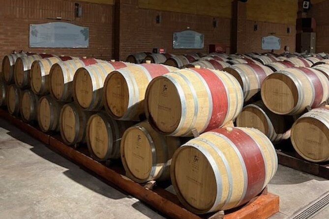 Wine Tasting Day Tour to Vineyard Casas del Bosque in Casablanca - Key points to know before you book