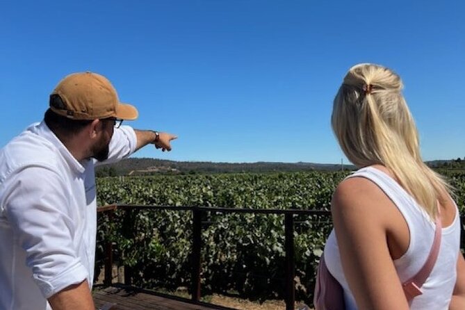 Wine Tasting Day Tour to Vineyard Casas del Bosque in Casablanca - The guide and service matter as much as the tasting