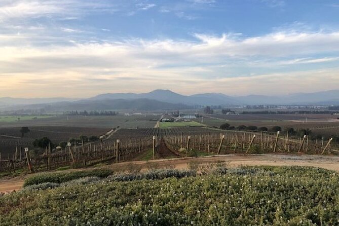 Wine Tasting Day Tour to Vineyard Casas del Bosque in Casablanca - Timing, transport, and the shape of the day