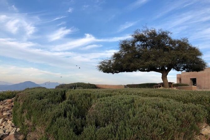 Wine Tasting Day Tour to Vineyard Casas del Bosque in Casablanca - Two hours at the Casas del Bosque winery