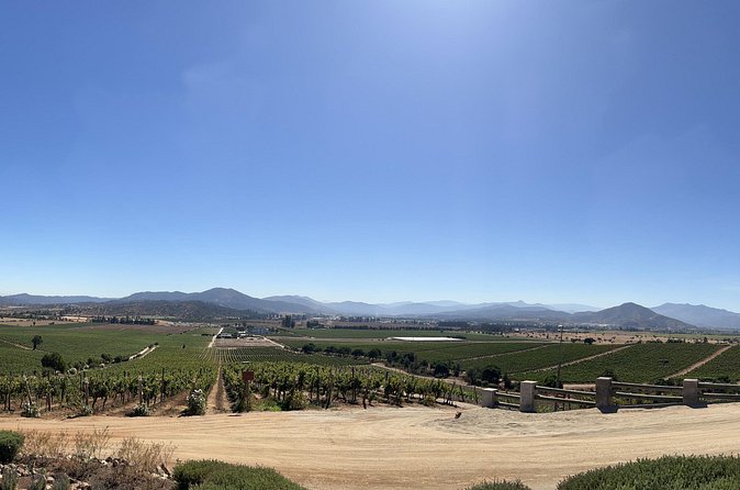 Wine Tasting Tour to Casablanca Valley (Wine Region) - Is $335 per person a fair price?