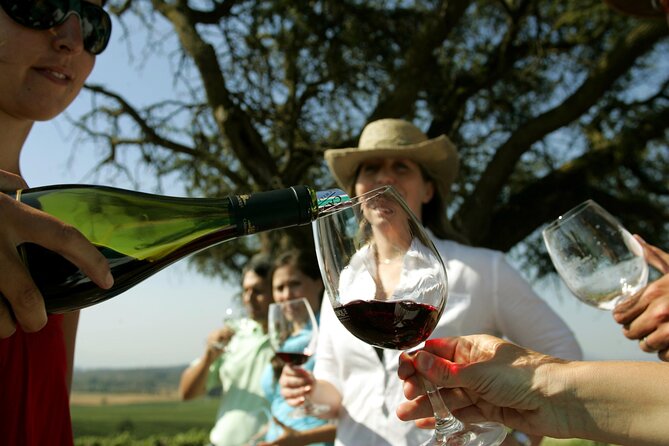 Wine Tour and Santiago City in a Small Group - Starting with Santiago’s political heart at La Moneda