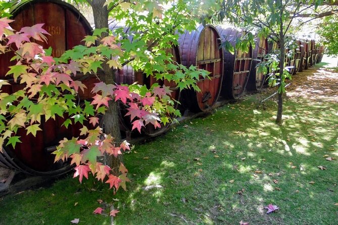 Wine Tour and Santiago City in a Small Group - Parque Bicentenario and a modern Santiago