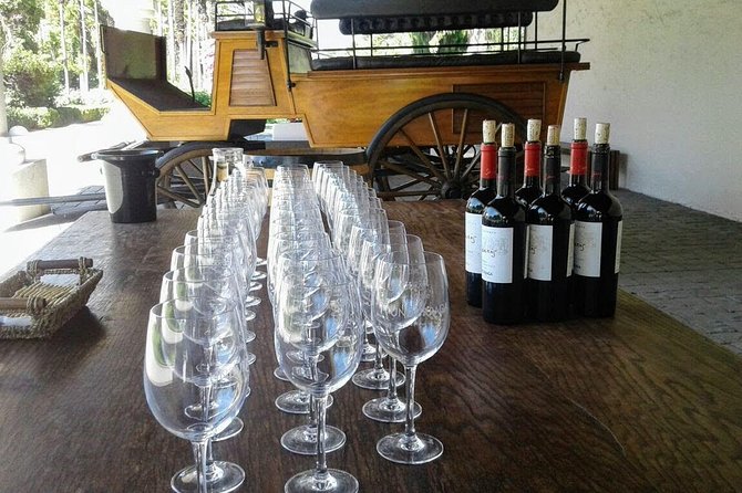 Wine Tour and Santiago City in a Small Group - Central Market and the extra cost of lunch