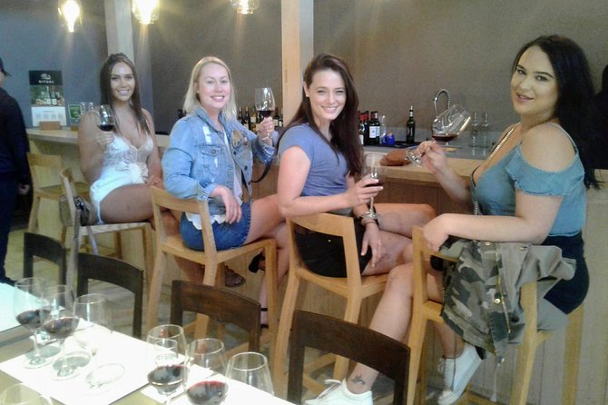 Wine Tour and Santiago City in a Small Group - Plaza de Armas and the center of daily Santiago