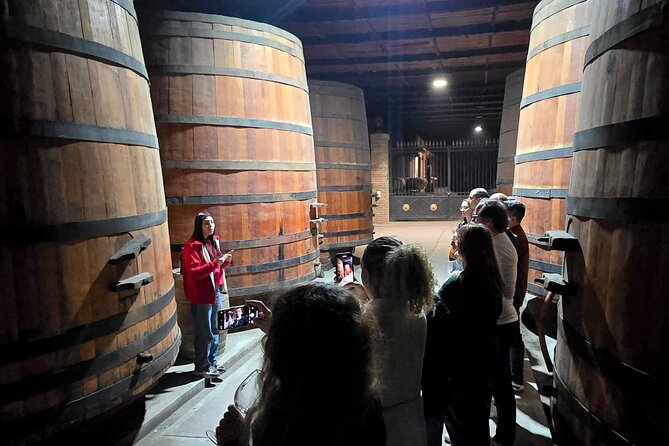 Winery Tour & Tasting + Lapis Lazuli Craft Visit + Hotel Pickup - Why this tour works well in Santiago