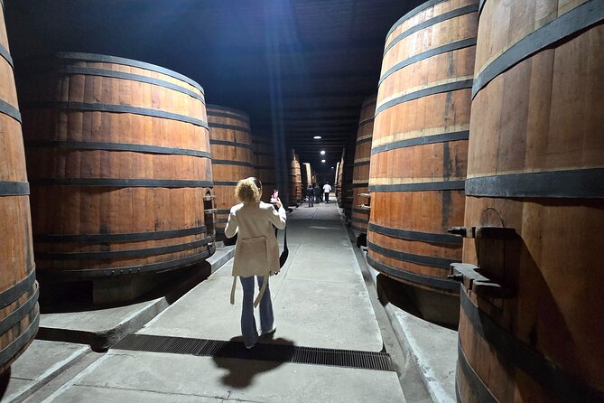 Winery Tour & Tasting + Lapis Lazuli Craft Visit + Hotel Pickup - The lapis lazuli stop adds a Chilean specialty