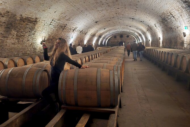 Winery Tour & Tasting + Lapis Lazuli Craft Visit + Hotel Pickup - Who will get the most from this experience