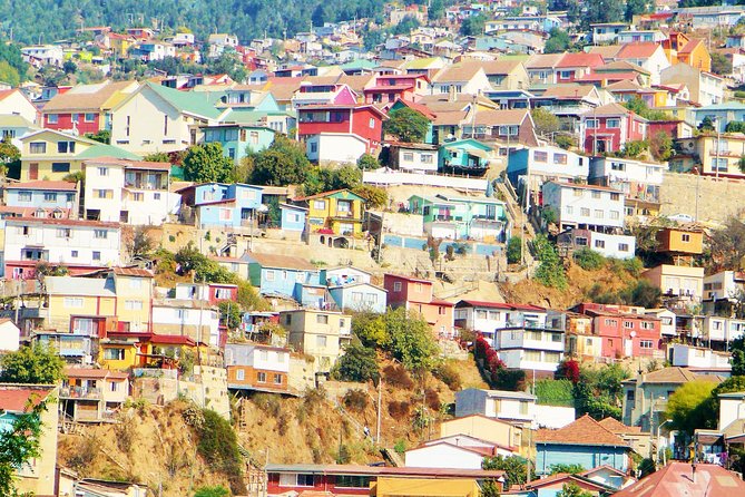 Winery & Valparaiso Private Tour - day trip from Santiago - Passing through Viña del Mar