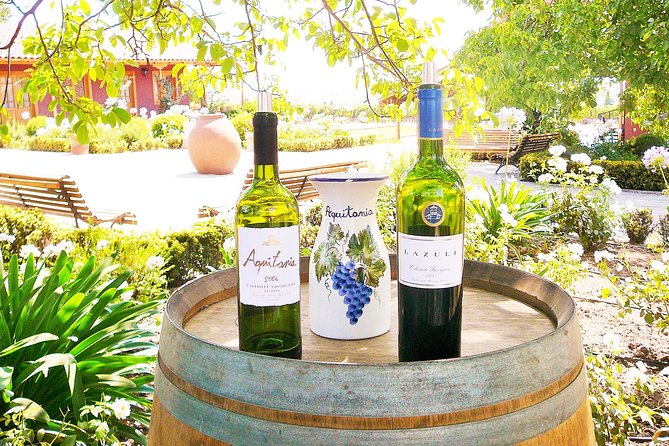 Winery & Valparaiso Private Tour - day trip from Santiago - Paseo del Puerto and Valparaíso’s waterfront