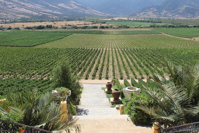 Winery & Valparaiso Private Tour - day trip from Santiago - Casablanca Valley and the winery visit