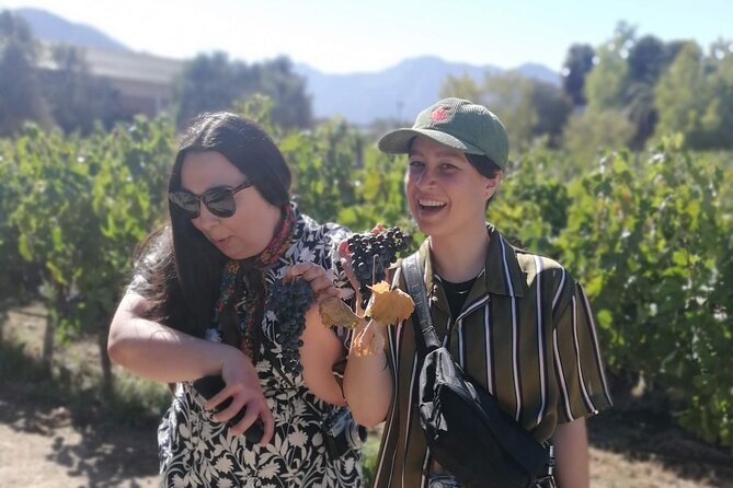Wines-and-Valparaiso-Tour - Key things to know before you book