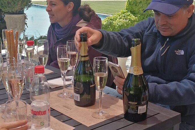 Wines-and-Valparaiso-Tour - Attilio & Mochi for a personal winery visit