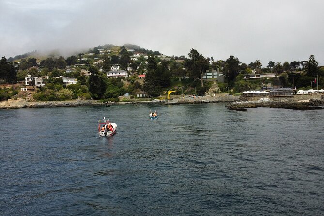 Zapallar and Papudo Tour with Penguins and Horseback Riding - Ninety minutes on horseback beside the ocean