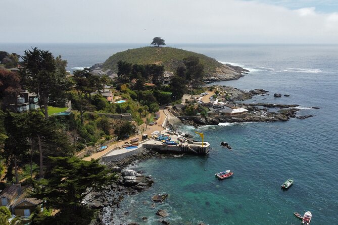 Zapallar and Papudo Tour with Penguins and Horseback Riding - Who will enjoy this day most