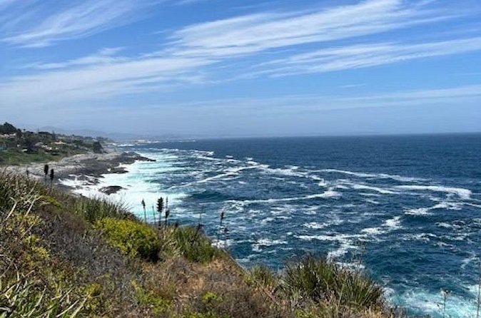 Zapallar Private Beach Day Trip - Weather and cancellation rules
