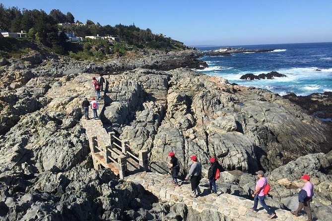 Zapallar Walking & Bird Watching Penguins From Valpo.Private Tour - Isla Cachagua: a shore view of penguin island