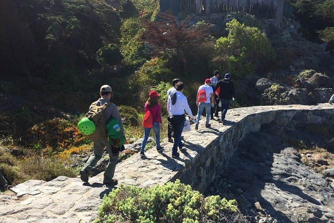 Zapallar Walking & Bird Watching Penguins From Valpo.Private Tour - Terry’s guiding style and the value of a private vehicle