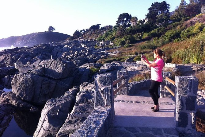 Zapallar Walking & Bird Watching Penguins From Valpo.Private Tour - Maitencillo Beach: a short coastal pause